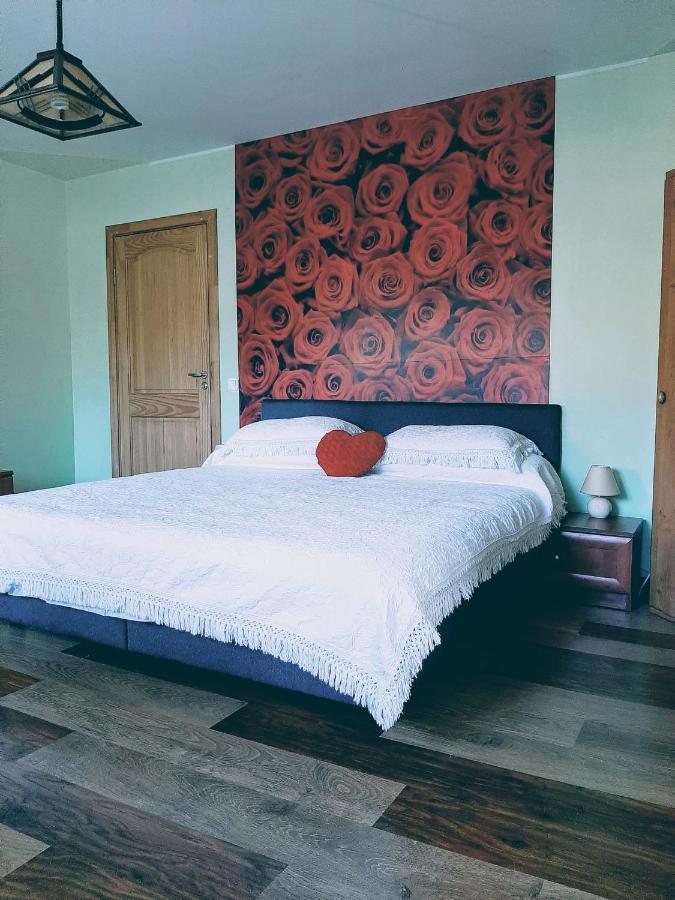 Irene Apartments 德拉肯恩凯 外观 照片
